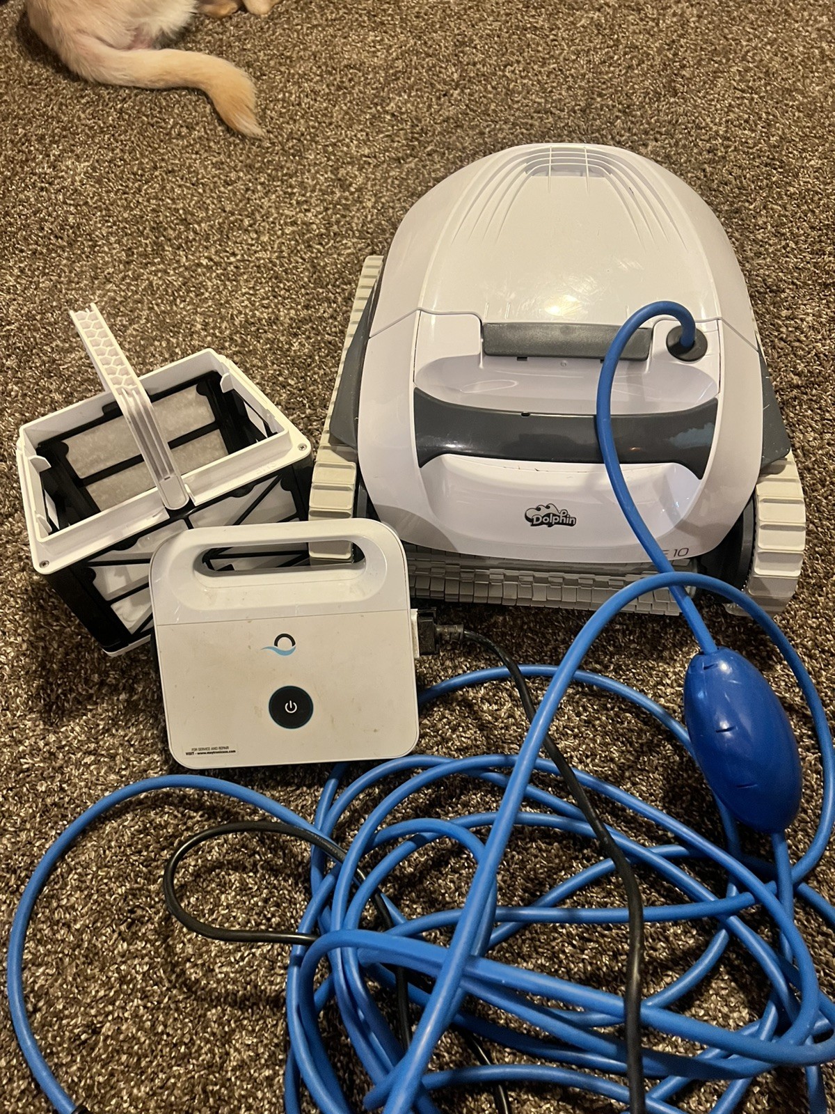 Dolphin E10 Automatic Robotic Pool Vacuum Cleaner,