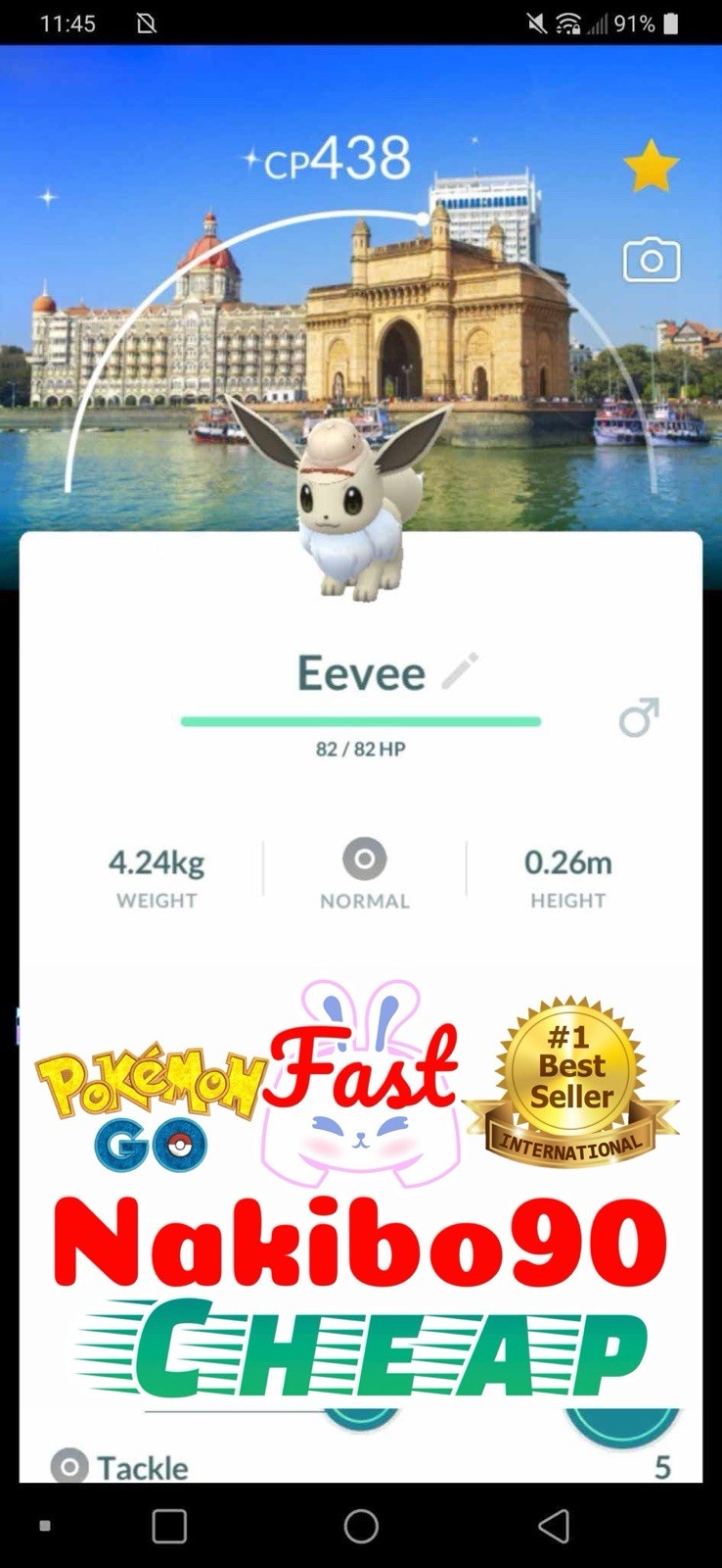 Pokémon Go - Shiny Eevee Mumbai background (City Safari) - Trade