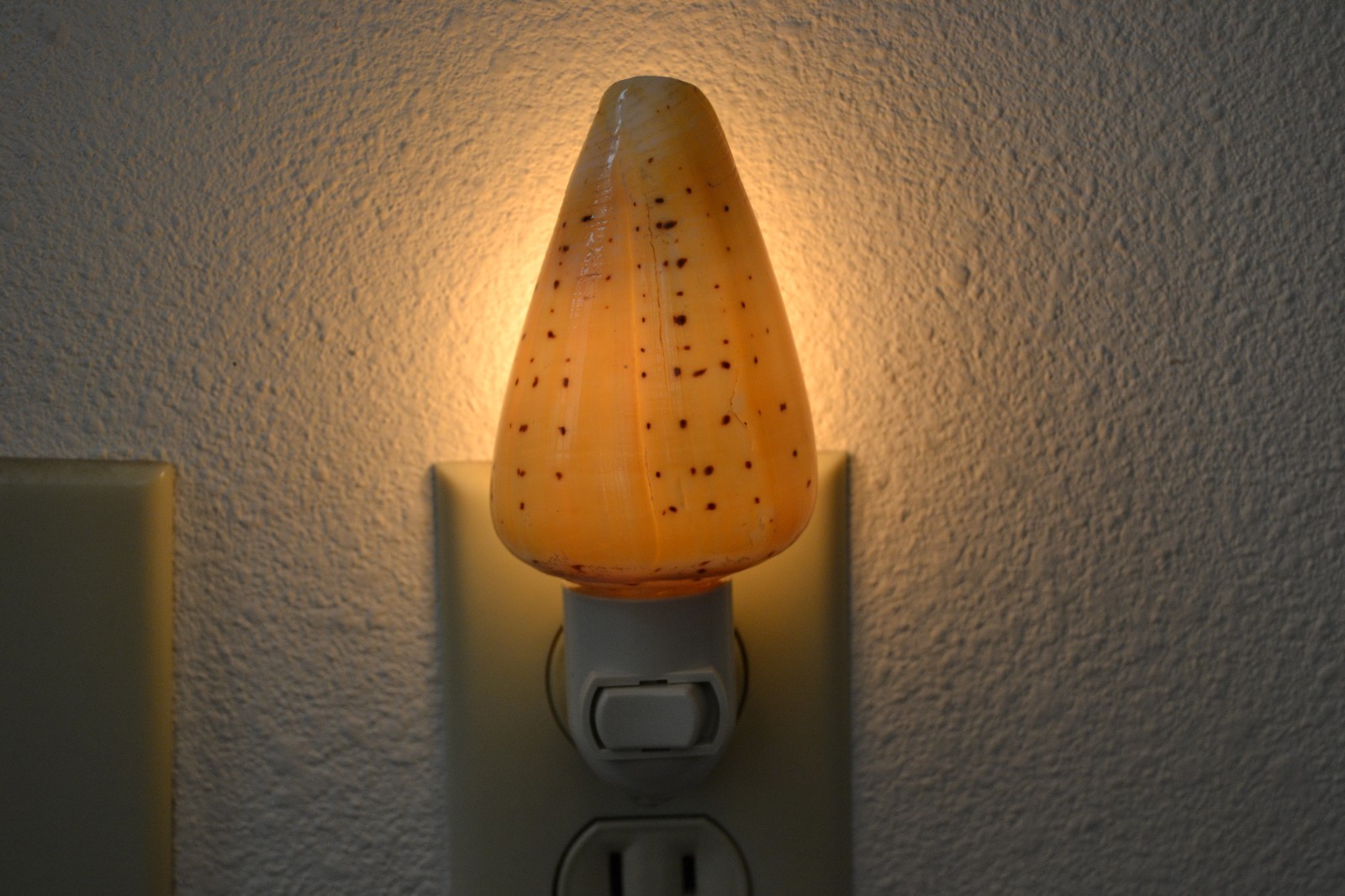 ABBREVIATED CONE SEA SHELL NIGHT LIGHT BATHROOM KITCHEN #7250