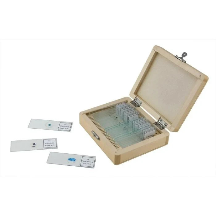 AmScope PS25W Prepared Slides