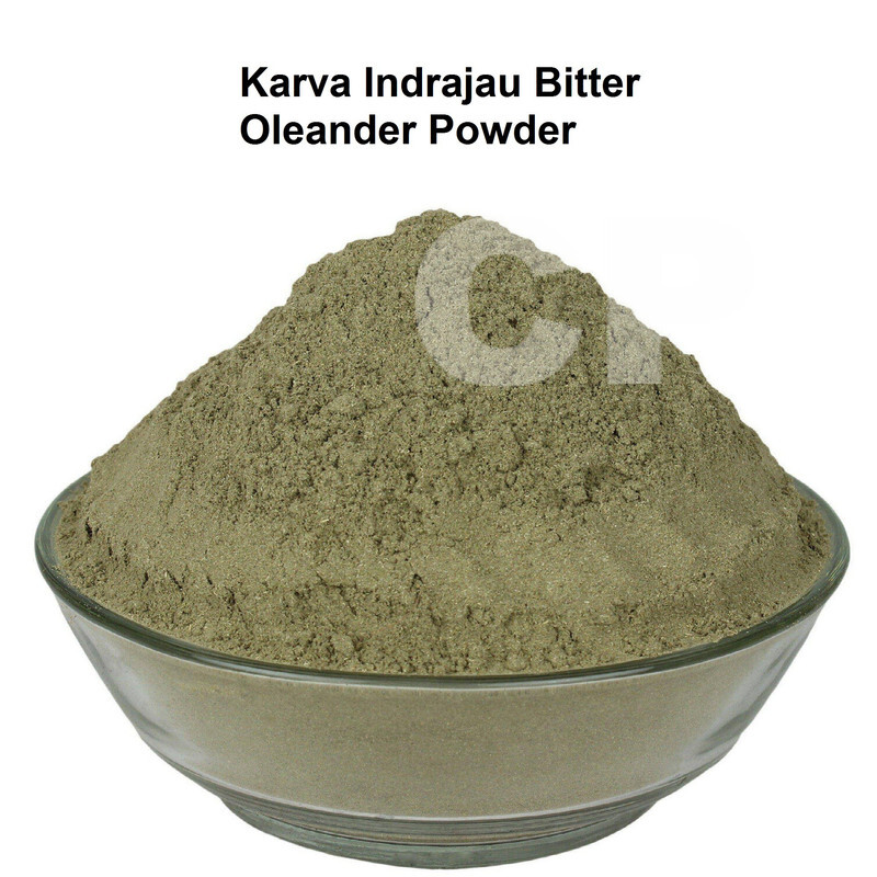 Karva Indrajau Bitter Oleander Powder Holarrhena Pubescens 50gm (1.7 OZ)'