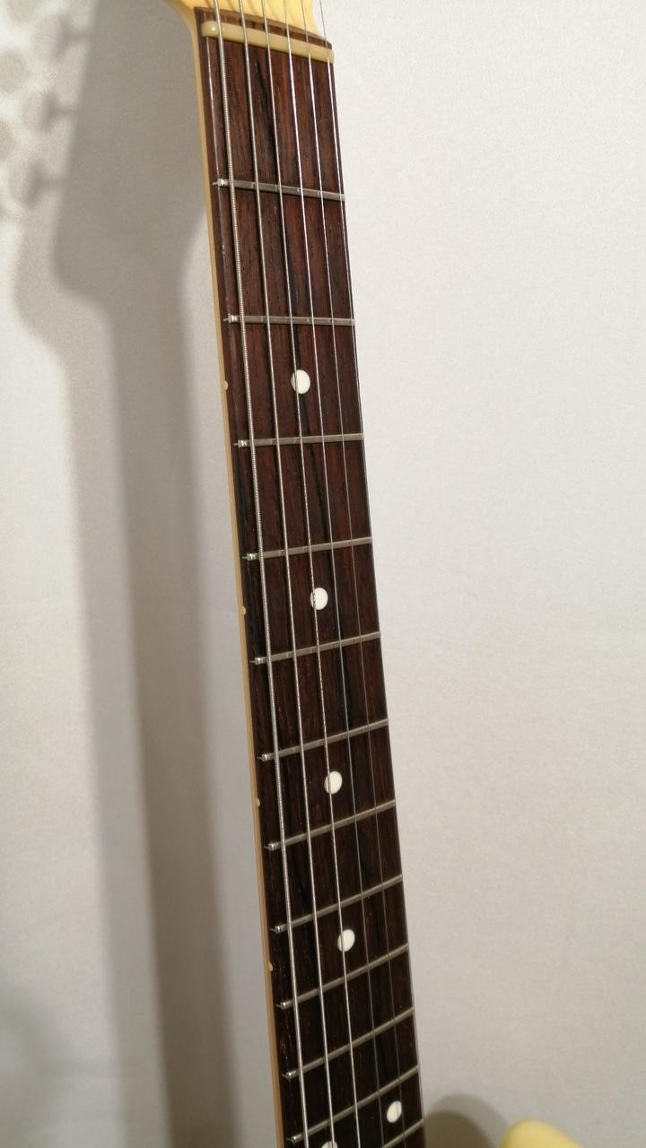 VANZANDT STV-R3 Electric Guitar