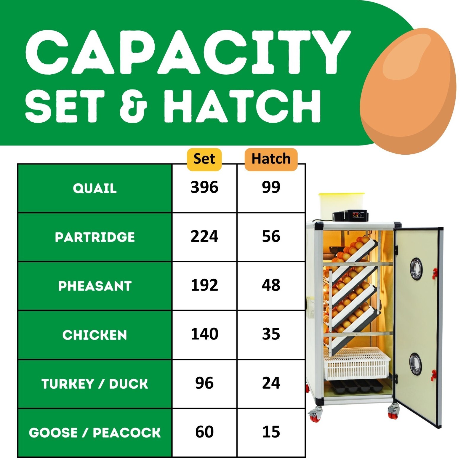 HB175 S - Egg Incubator - Setter
