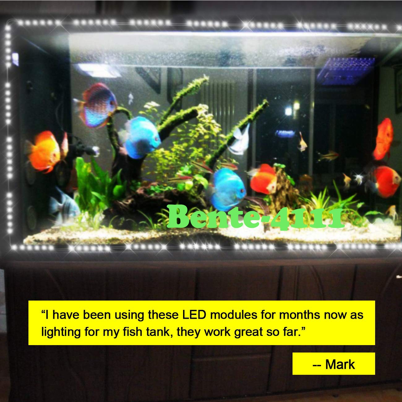 6 LED 5054 White Module Light Showcase Window Lamp Strip with Timing Remote