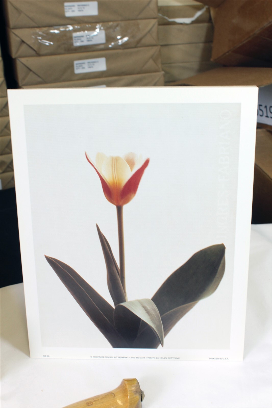 8" x 10" ART Prints Inventory Bulk Lot # 58755