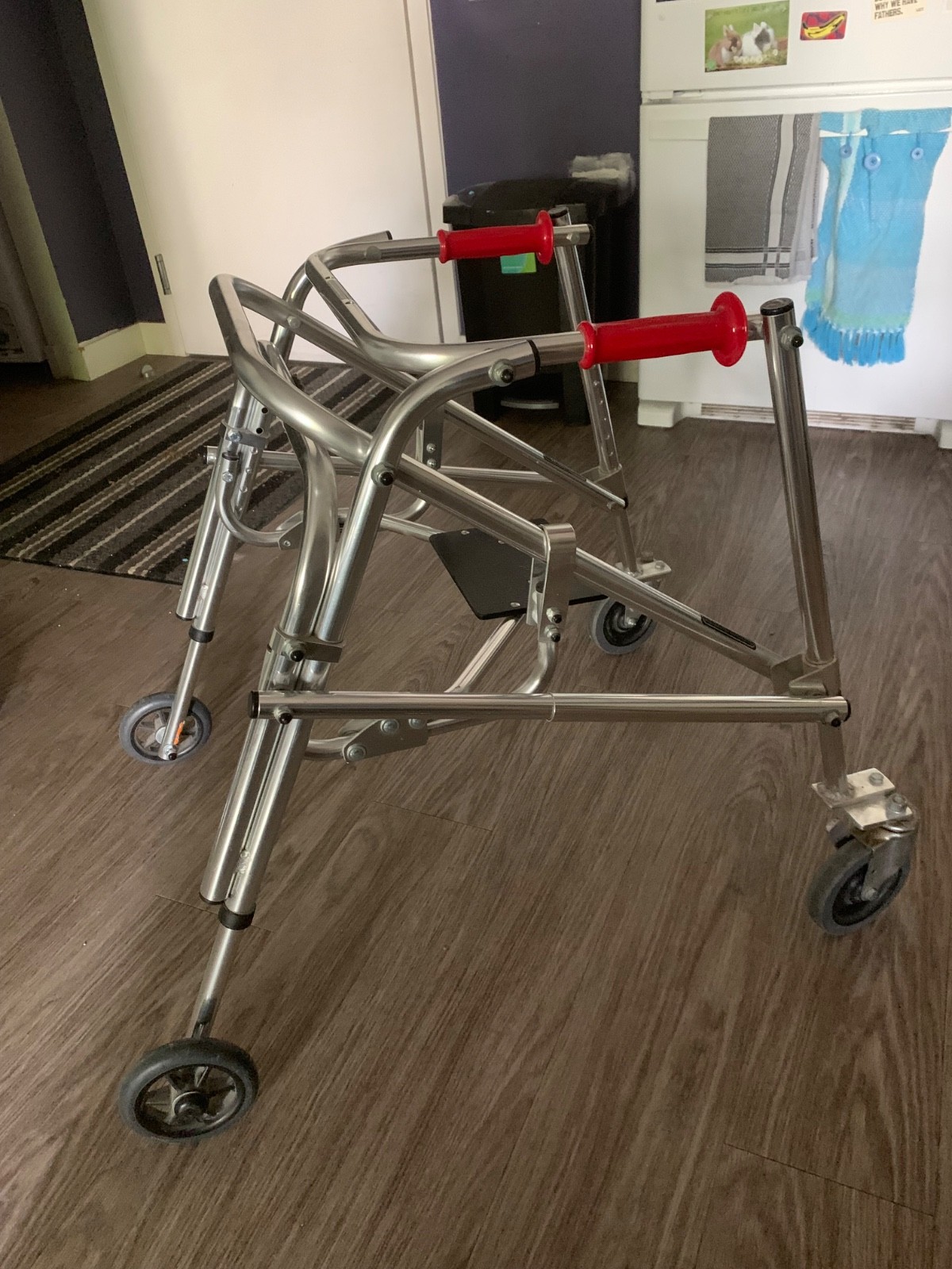 Kaye Posture Control Walker - Size 3 - Youth (Swivel Wheels and Seat)