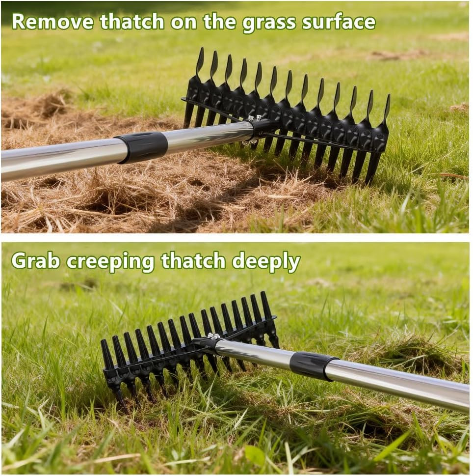 Thatch Rake - 63 Inch Dethatcher Rake with Upgraded Dual-Action Tines, Adjustabl