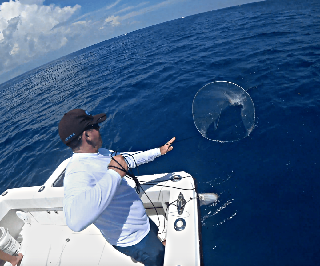 The BallyHoop - Stealth Collapsible Hoop Net - Generation II