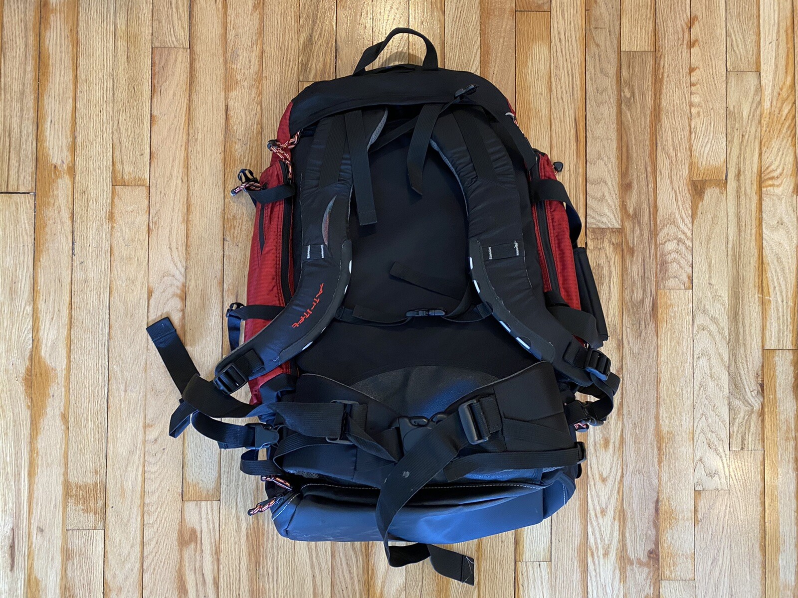 JanSport Travel Backpack Black And Red