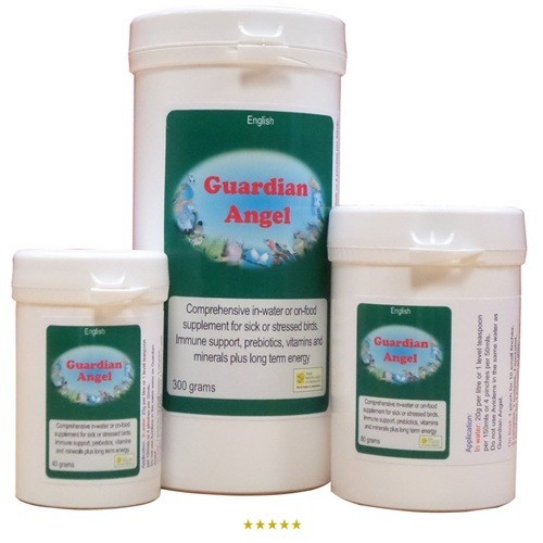 GUARDIAN ANGEL SUPPLEMENT FOR SICK/STRESSED BIRDS 80G BY BIRDCARE COMPANY
