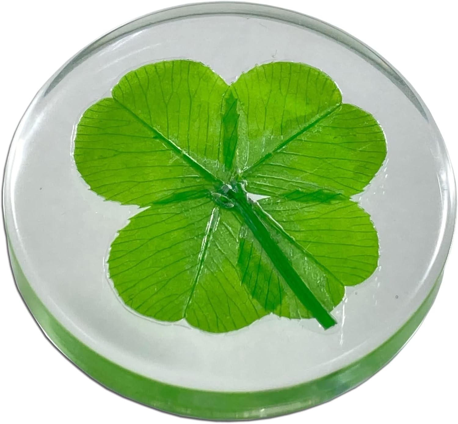 Real Four Leaf Clover Lucky Pocket Token Preserved Flowers Gift