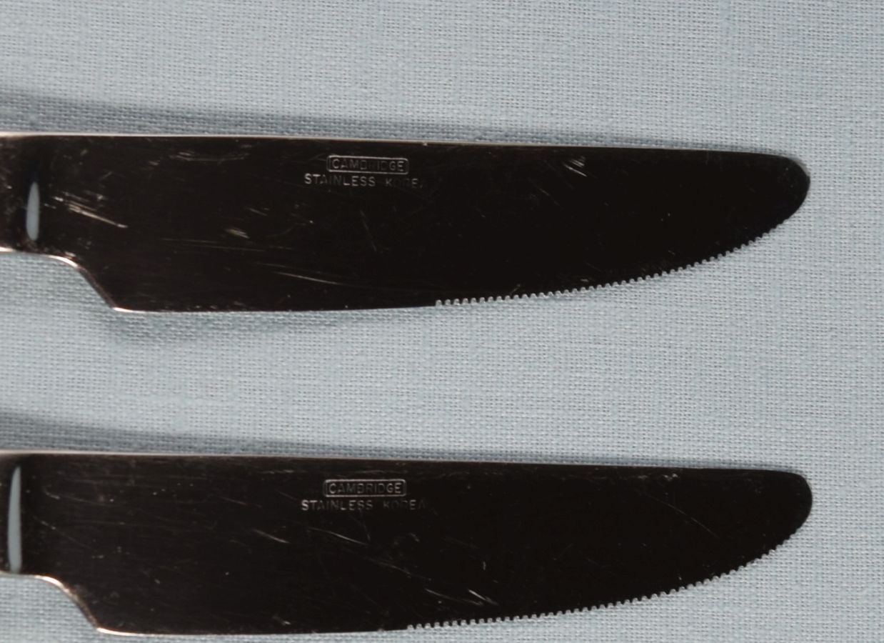 Cambridge Stainless Korea STEPS 2 Dinner Knives