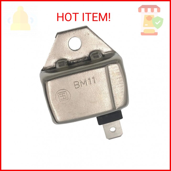 PARTSRUN 21119-2161 Igniter Ignitor Module for Club Car DS Gas Golf Cart 1992-19
