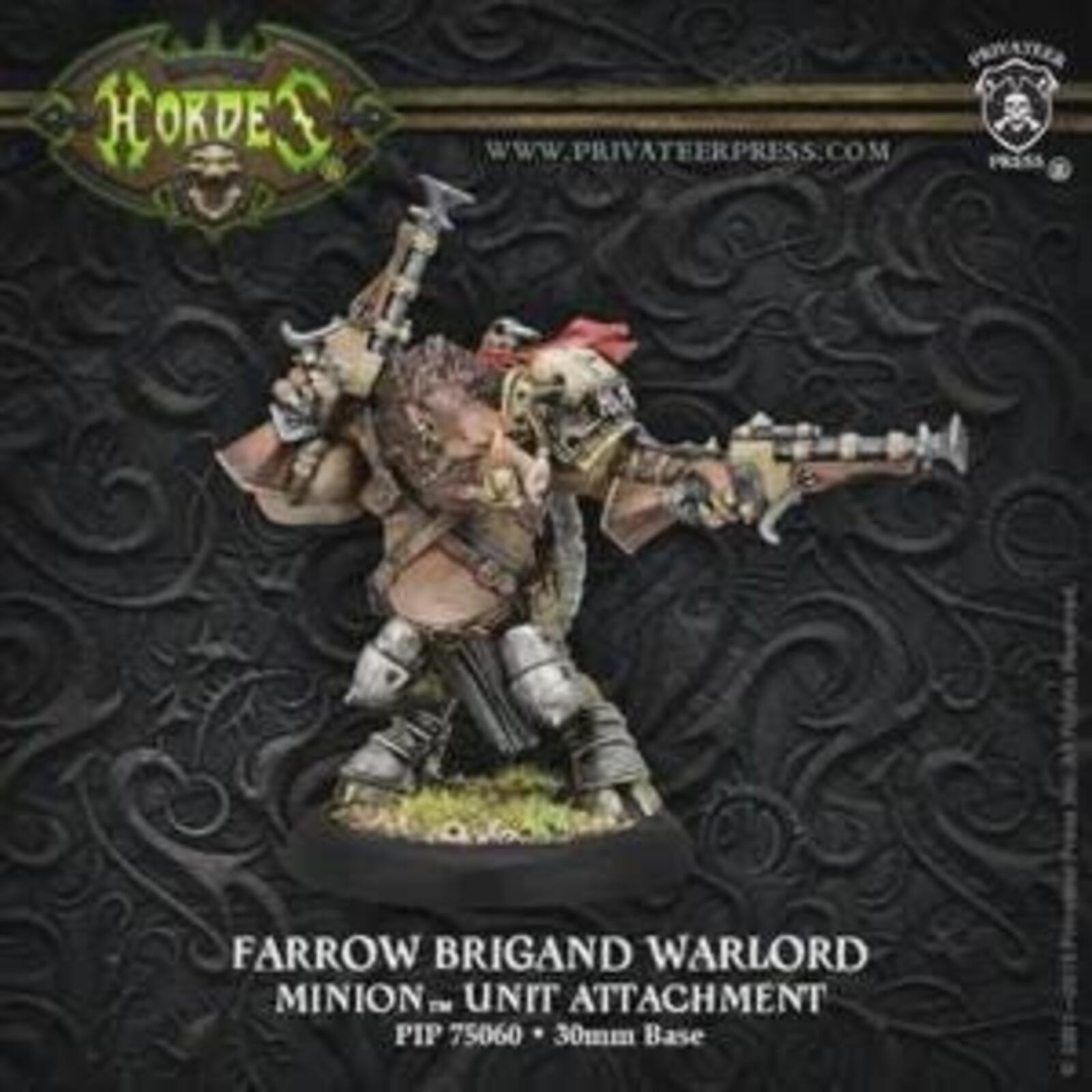 Warmachine Thornfall Alliance Brigand Warlord UA 3D Printing Service Free Ship