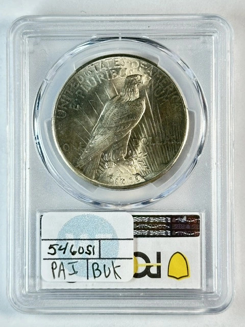 1925 P Peace Dollar PCGS MS-65 White!
