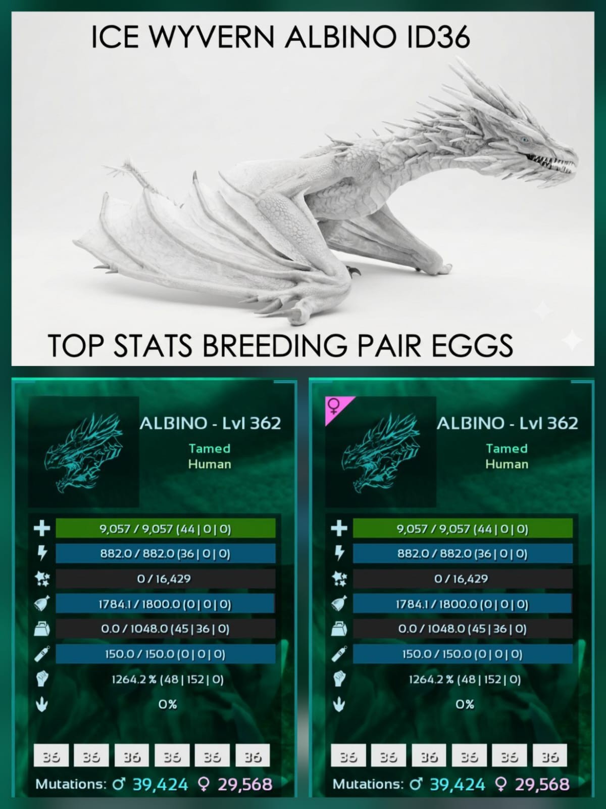 ICE WYVERN - Egg Pair - Ark Survival Ascended Official PVE CROSSPLAY