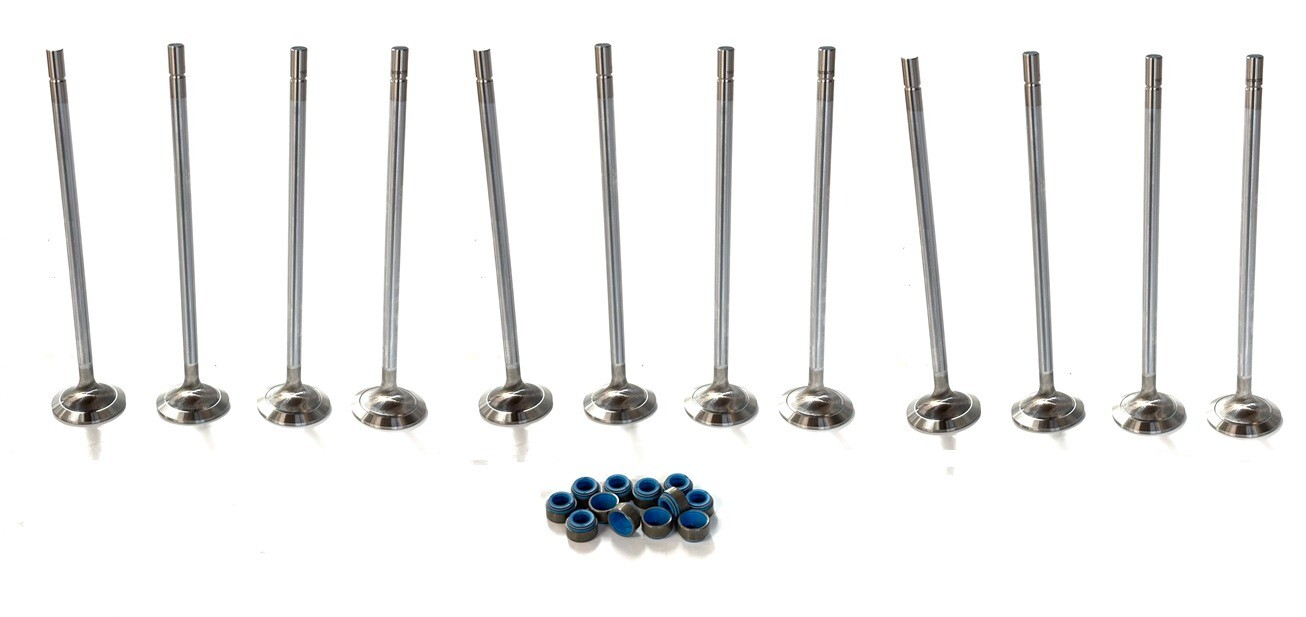 Set of (12) Detroit Diesel 60 Series Exhaust Valves & Seals kit 23524521