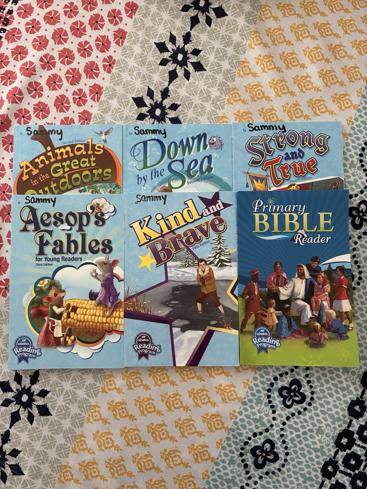 Abeka 1st Grade Student Readers New/Used Clean (d)