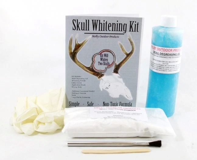 European Skull Whitening Kit Hunting Trapping Supplies Melby Outdoor