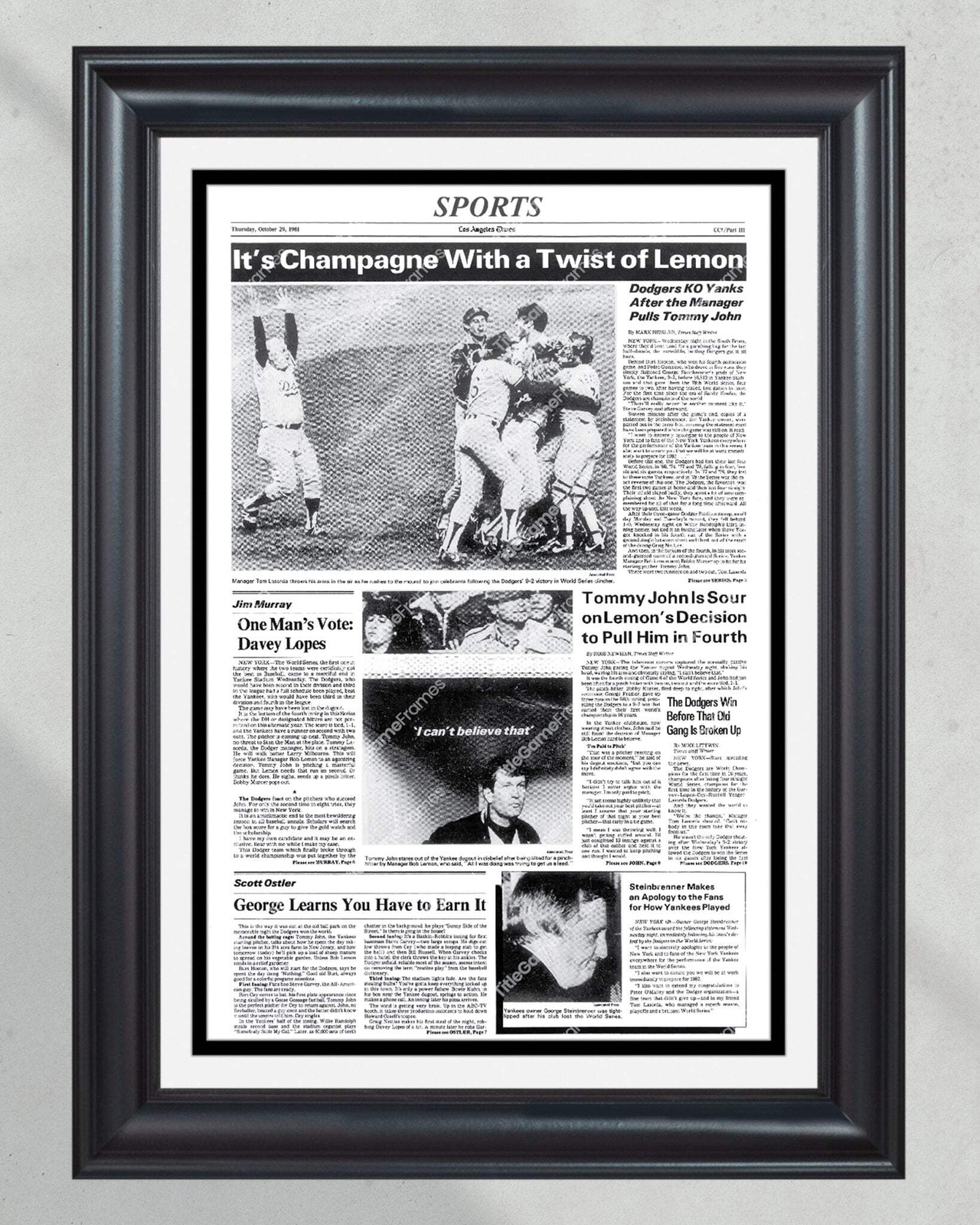 1981 Los Angeles Dodgers World Series Champions Framed Front Page Newspaper Prin