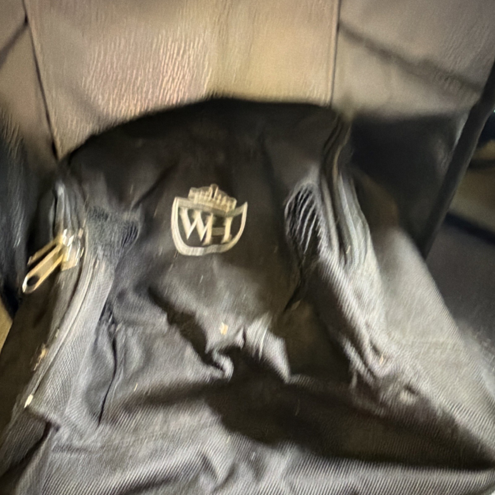 WH1 Black Hiking Backpack Zipper Closure Embroidered Logo Fabric for Hiking