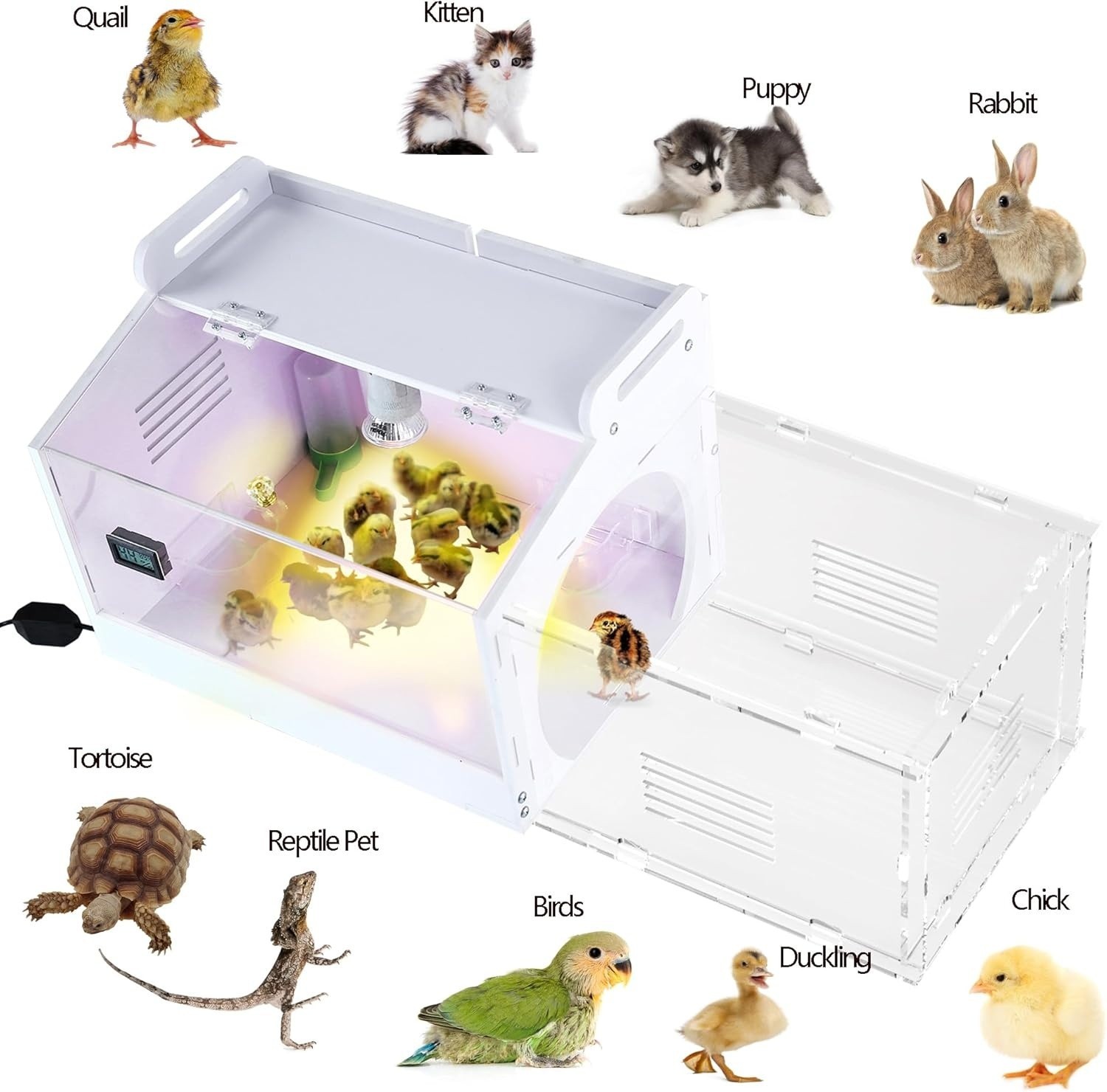 Large-Scale Chick brooder Box Quail Cage Egg Incubator Chick Starter Kit Chicken