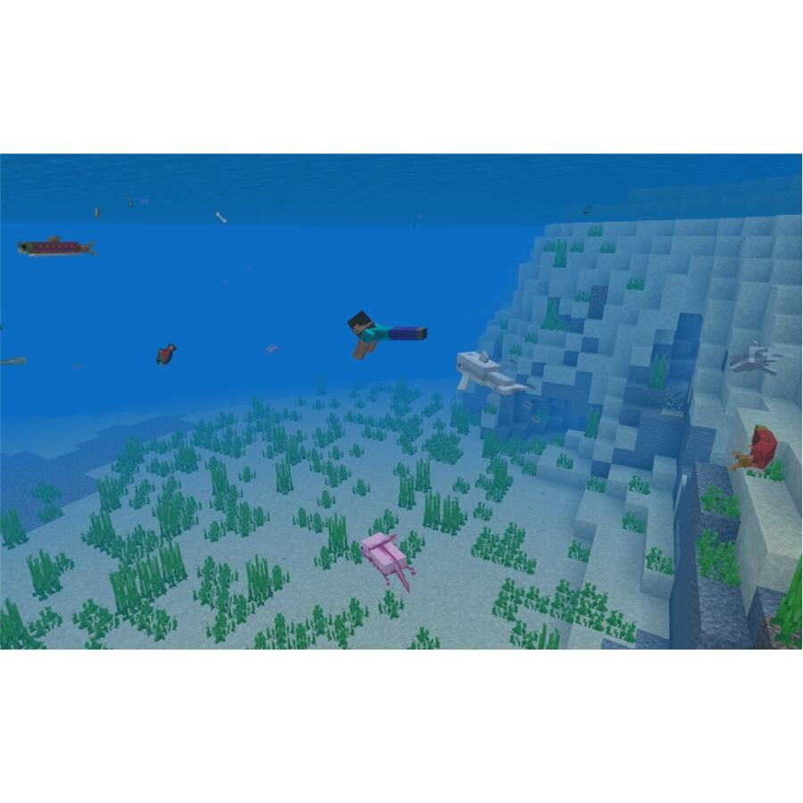 Minecraft: Java & Bedrock Edition for PC [Digital Version] [Region Free]