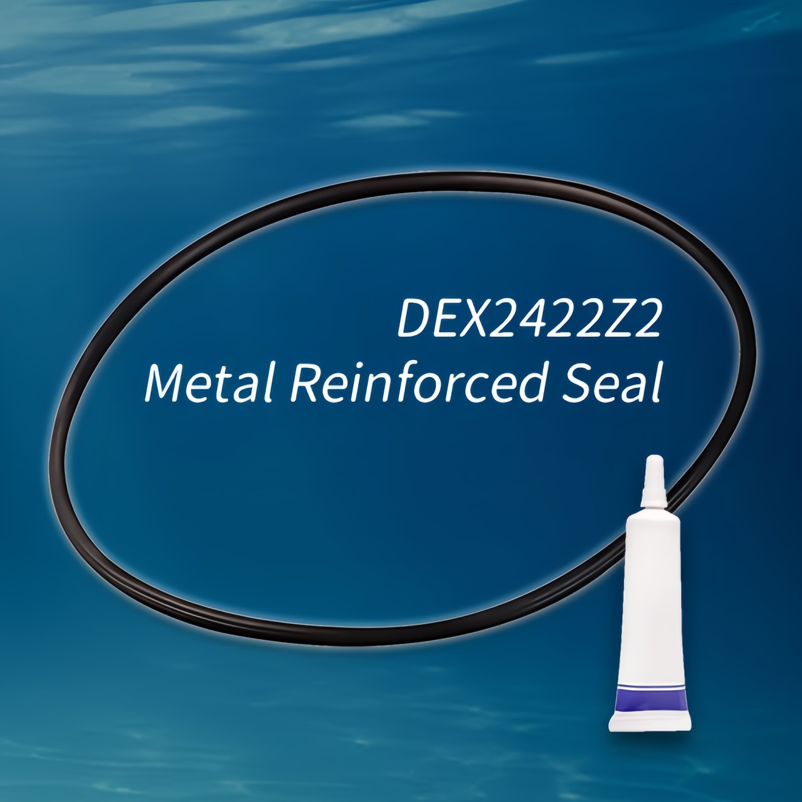 DEX2422Z2 Metal Reinforced Seal Fits Hayward SwimClear C2030 & Pro - Grid Filter