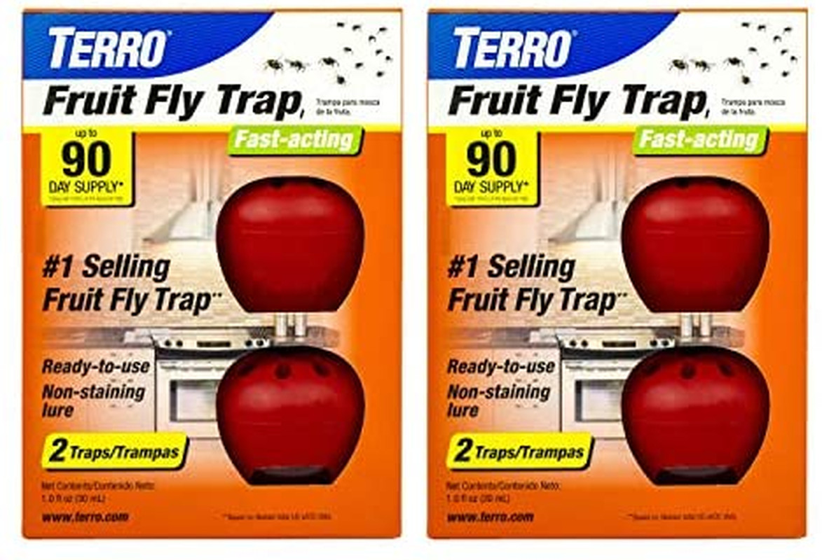 TERRO T2503SR Ready-To-Use Indoor Fruit Fly Killer and Trap with Built in Window