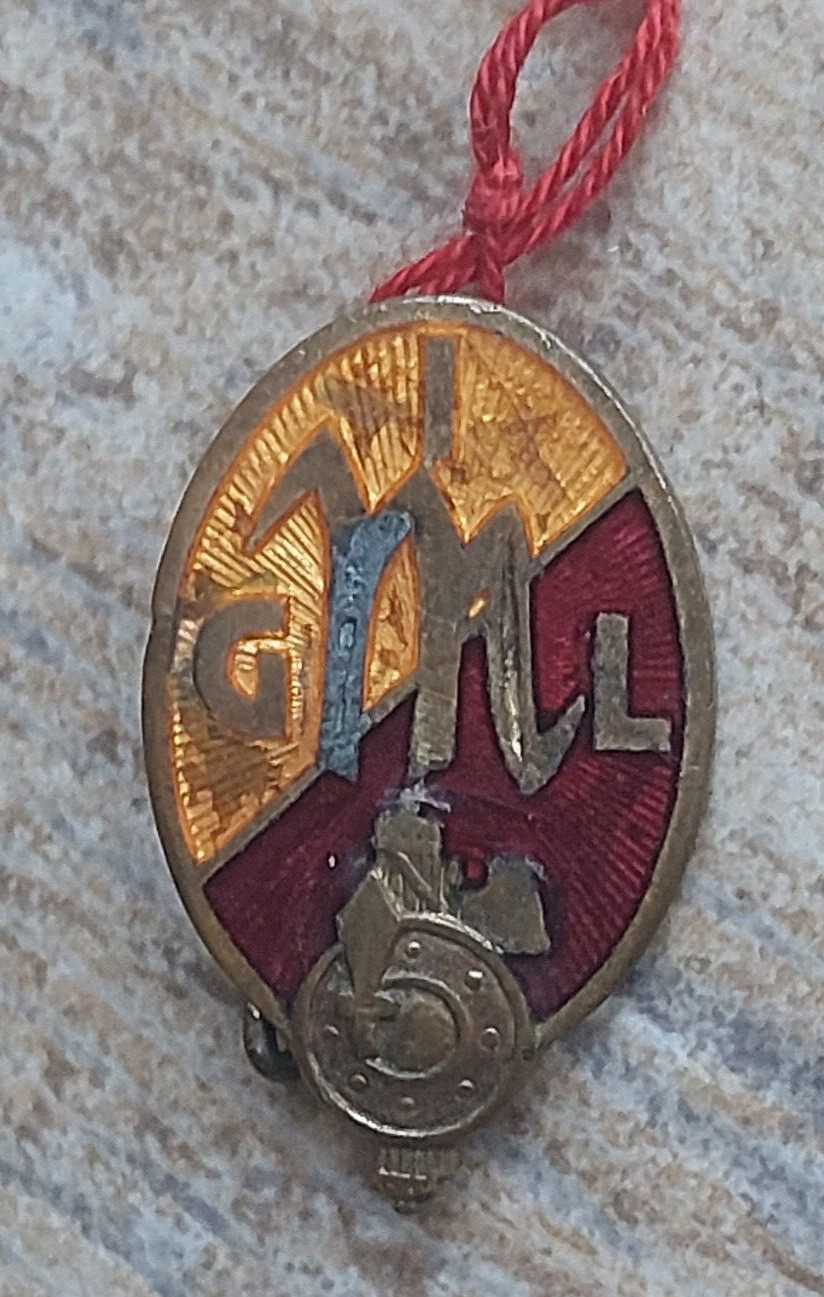 DISTINTIVO GIL GIOVANETU  ITALIANA WW2