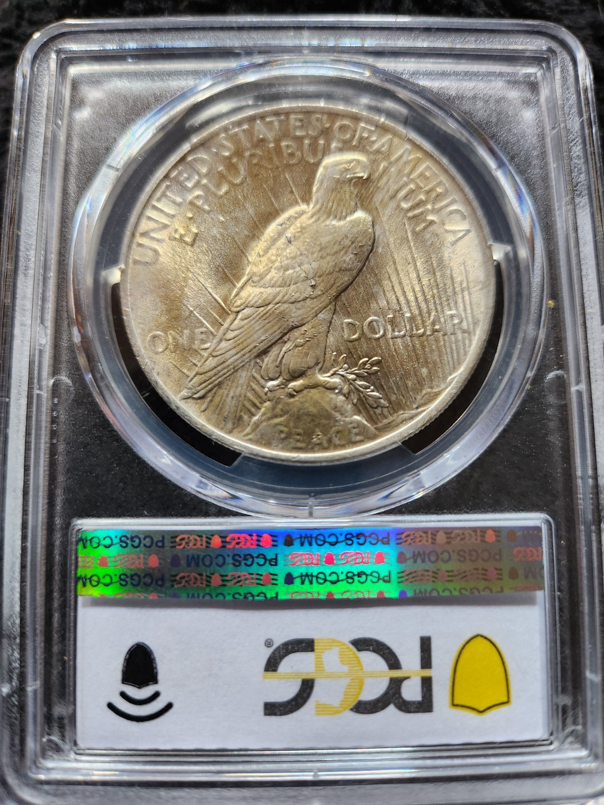 1923 PCGS MS 63 VAM 1E Broken Wing Toned