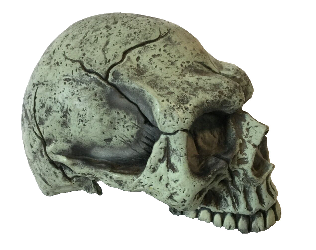 SEASONS Skull Halloween Decoration Glow Prop LL