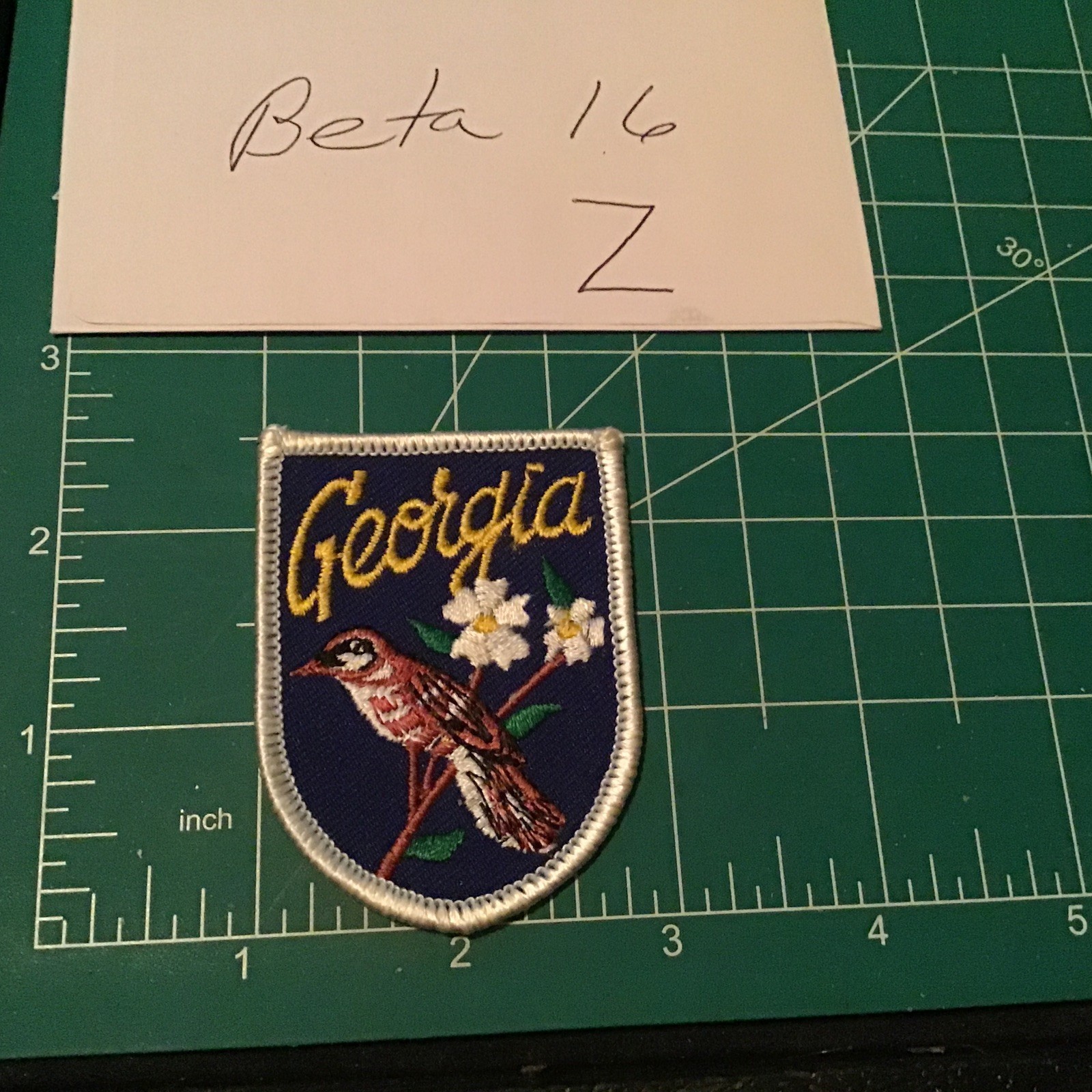 VTG Voyager GEORGIA “Brown Thrasher” Iron On Patch