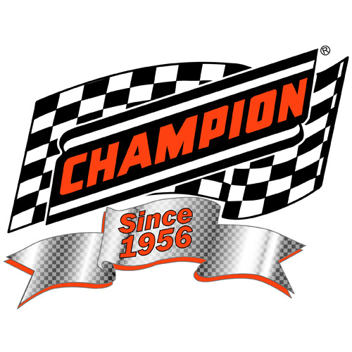 Champion Brands Gas & Diesel Fuel Stabilizer 2 & 4 Cycle Engines 8 fl. oz