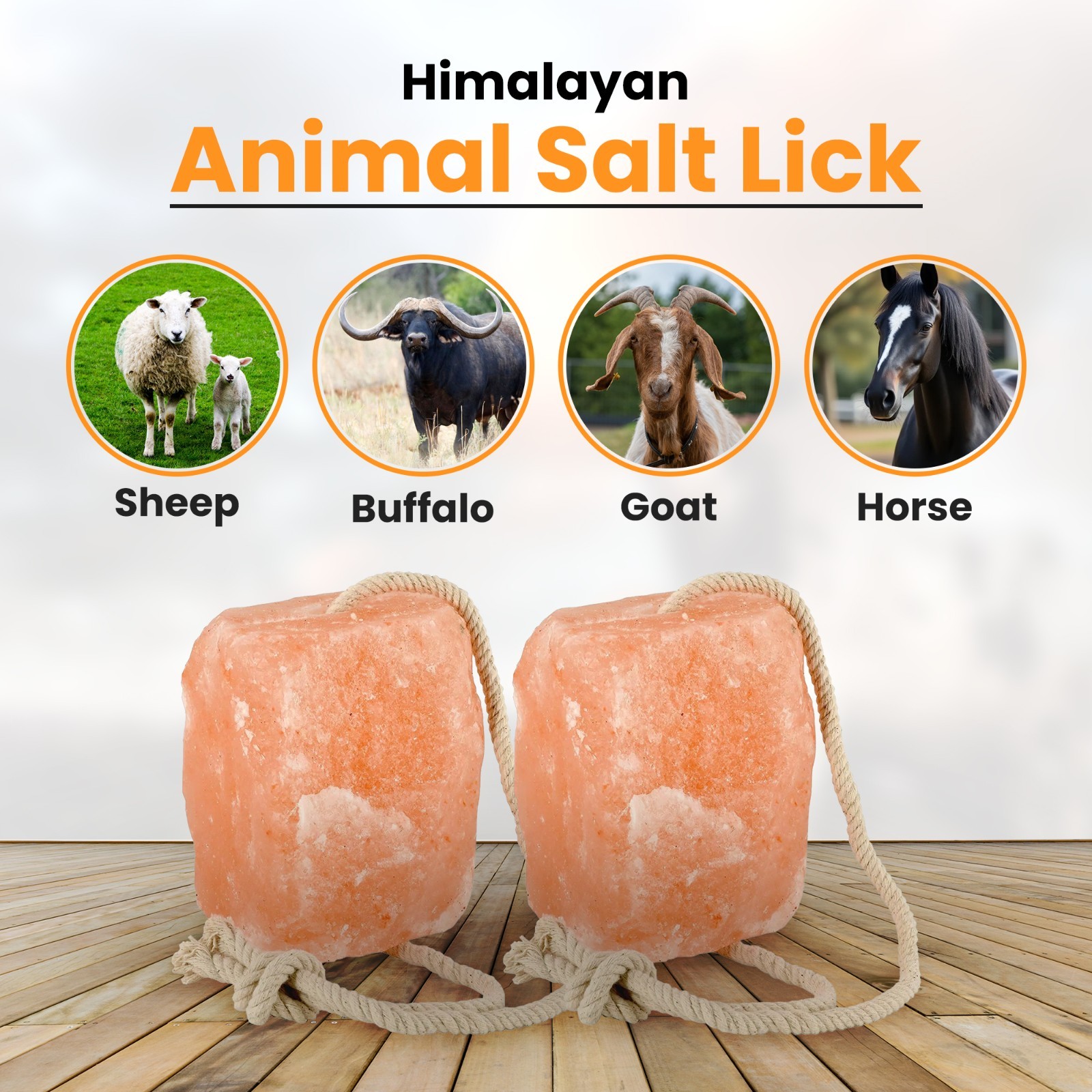 Horse Treats – Natural Himalayan Salt Lick Mineral Block for Horses (Pack of 12)