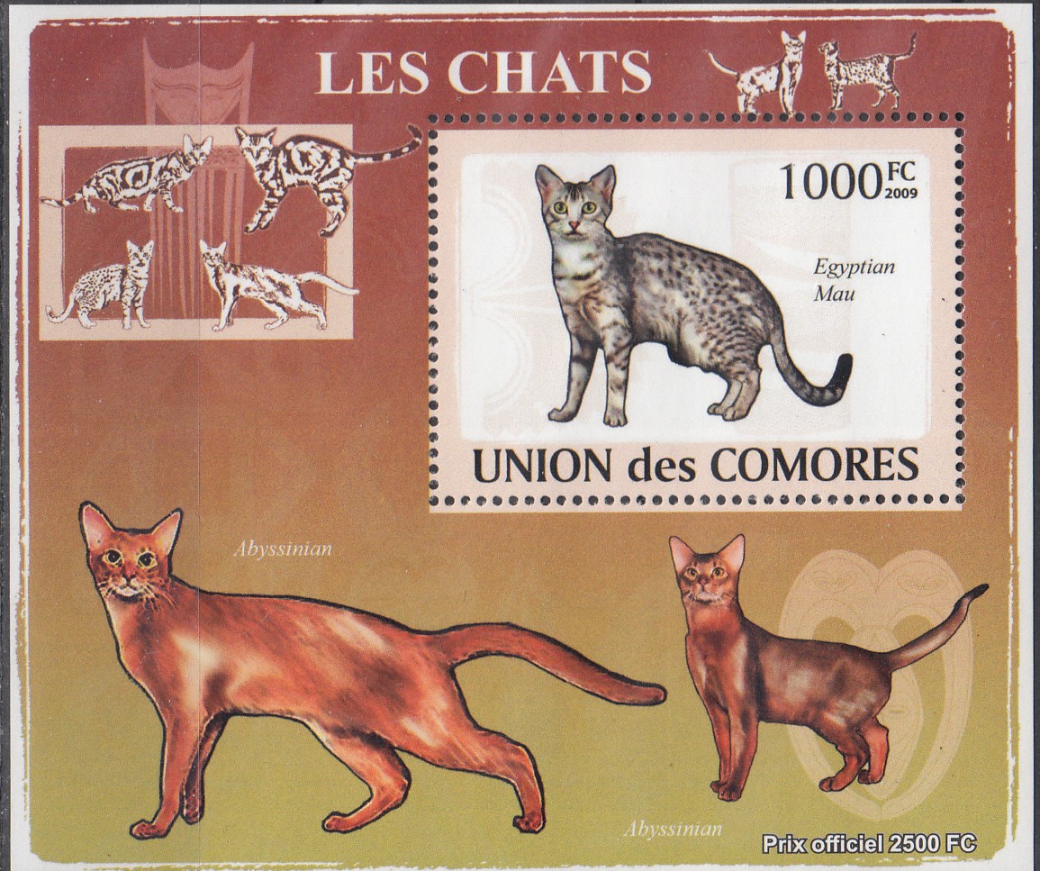 W COMORO Y2009 (50) (5) CATS