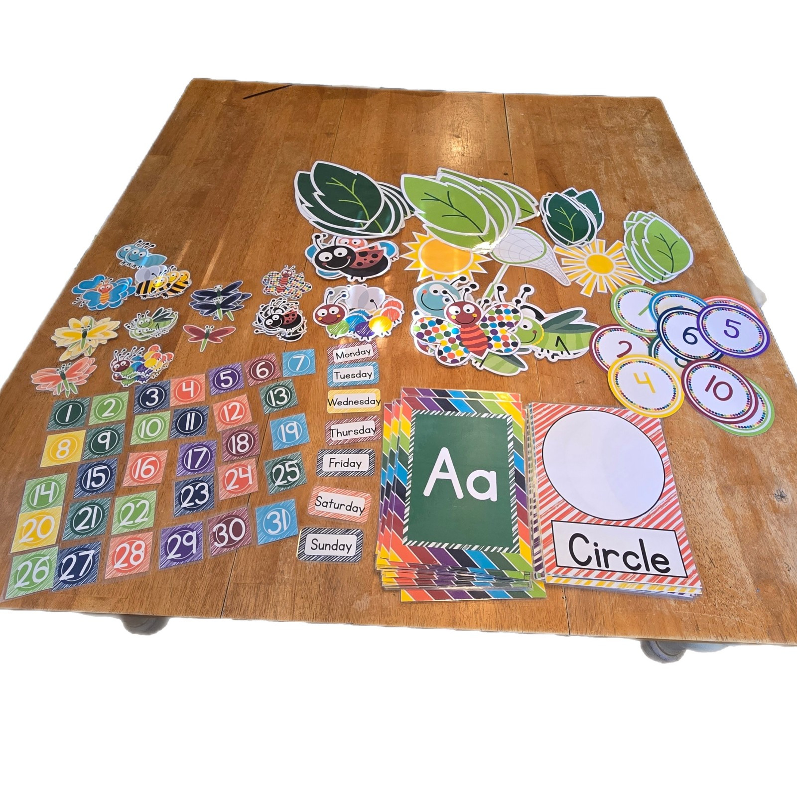 Schoolgirl Style Bugs Collection Printed Laminated Used Classroom Decor School