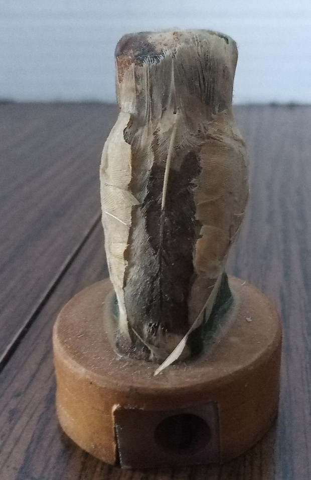 Plastic Owl Pencil Sharpener Made In China