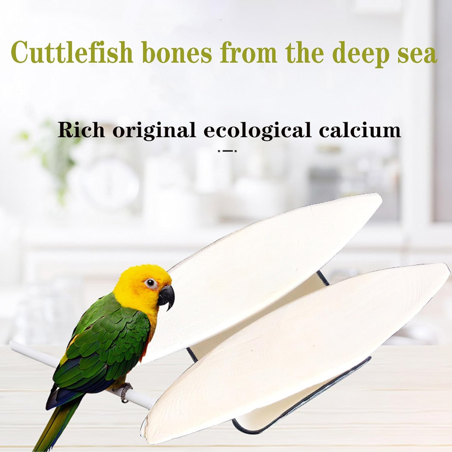 Bird Cuttlebone for Parakeets Cuttlebone for Birds - Natural Cuttlefish Bone Bul