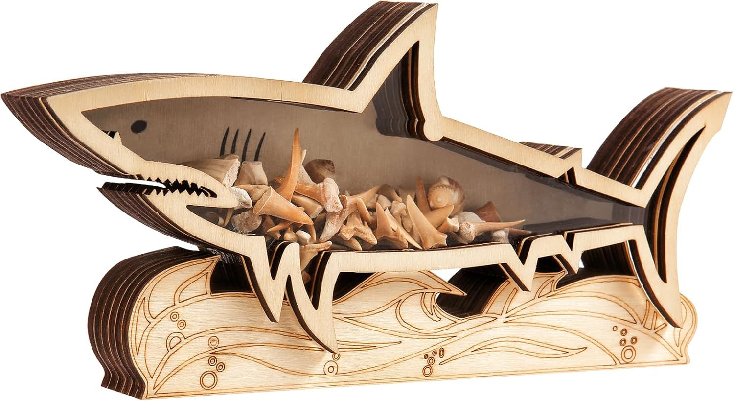 Shark Tooth Display Case - 8.8 Inch Wooden Shadow Box Holder for Collectors Perf