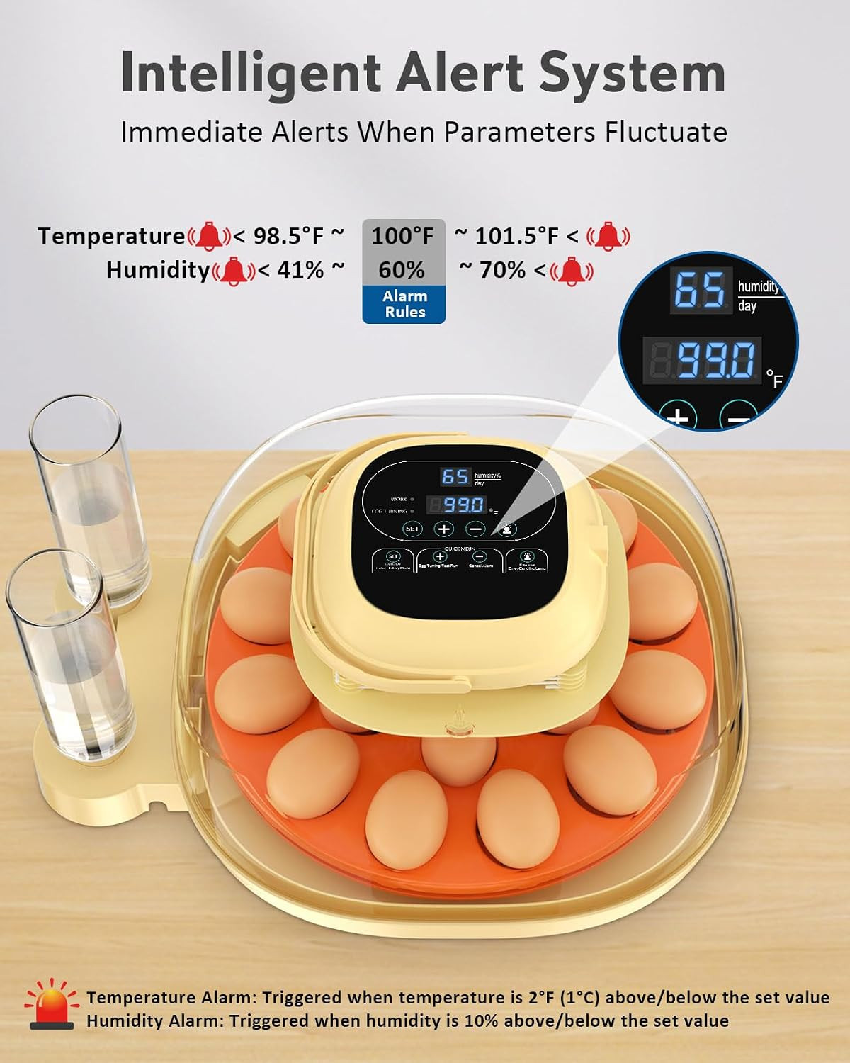 18 Egg Incubator for Hatching Eggs with Automatic Turning, Digital Temperature &