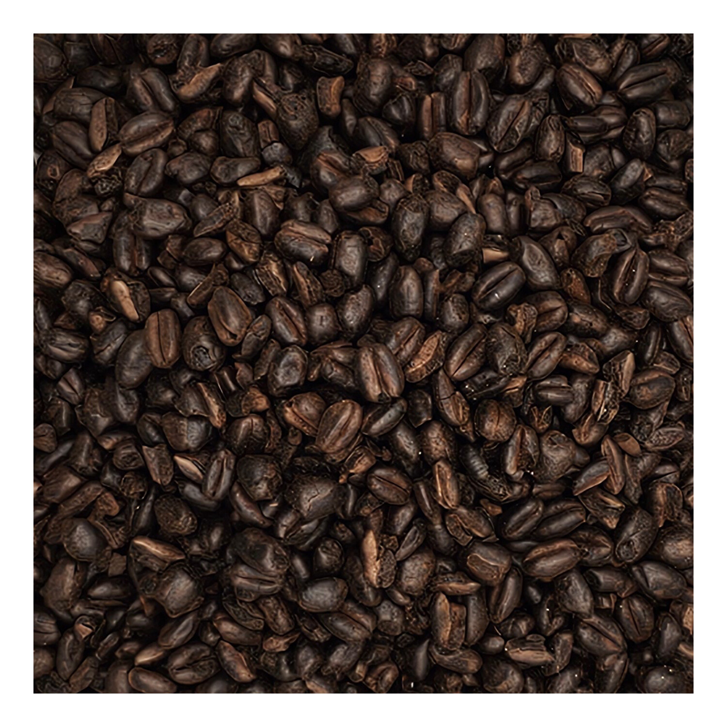 Home Brew Ohio Midnight Wheat Grain 1lb