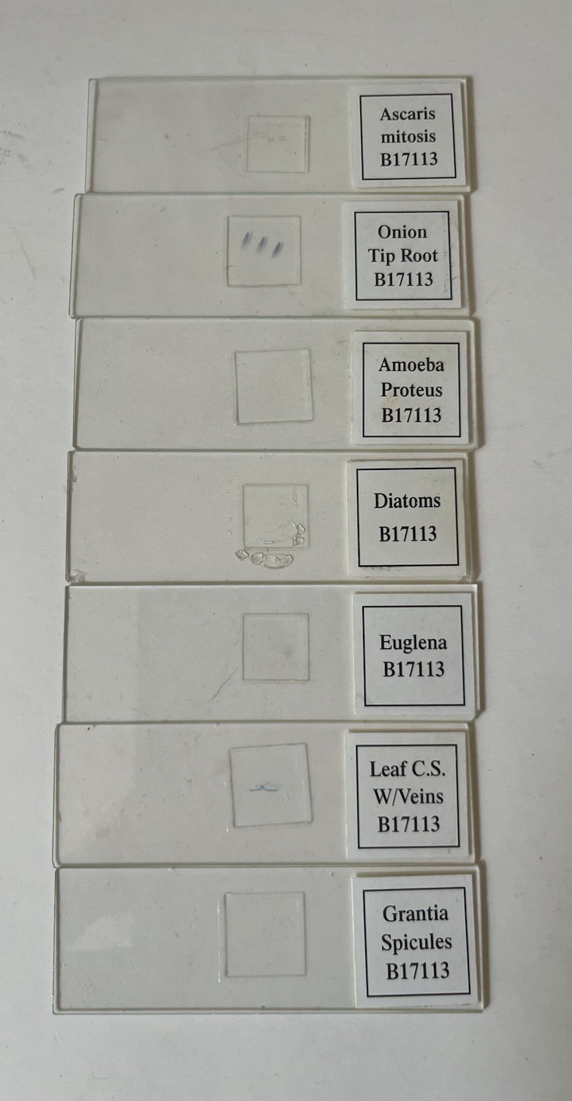 Apologia Biology Microscope Incomplete Slide set 1 & plastic case 15 slides GUC