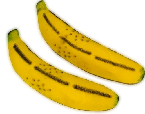 MULTIPLYING SPONGE BANANAS 2 Foam Magic Trick Clown Fruit Funny Stage Comedy Set
