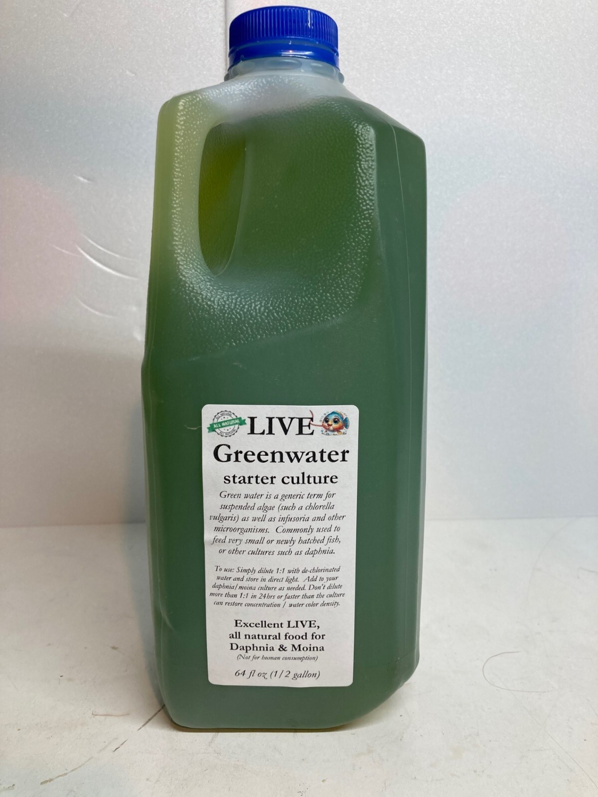 FULL GALLON Shipped FedEx 2 day Green water Chlorella for Daphnia, Moina
