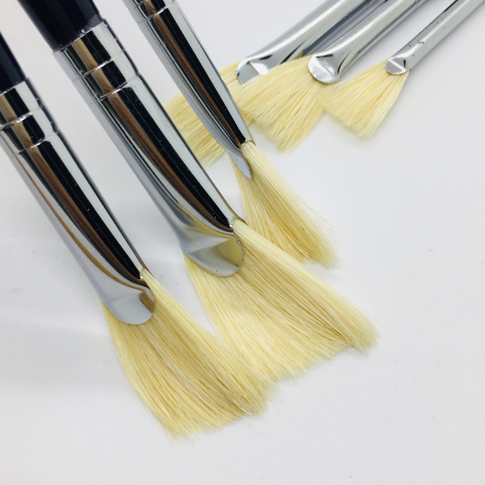 XDT#616-2 Fan Art Brush Set 6Pc #2#4#6#8#10#12 Hog Acrylic Oil Watercolor