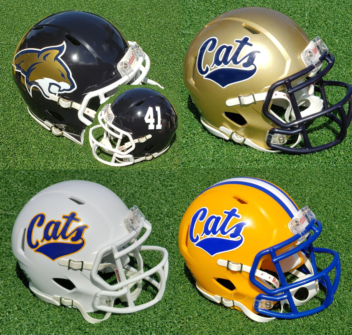 MONTANA STATE BOBCATS FOOTBALL MINI HELMET, 6 OPTIONS