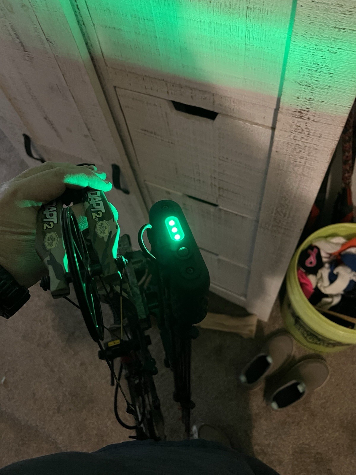 Bear Adapt 2+