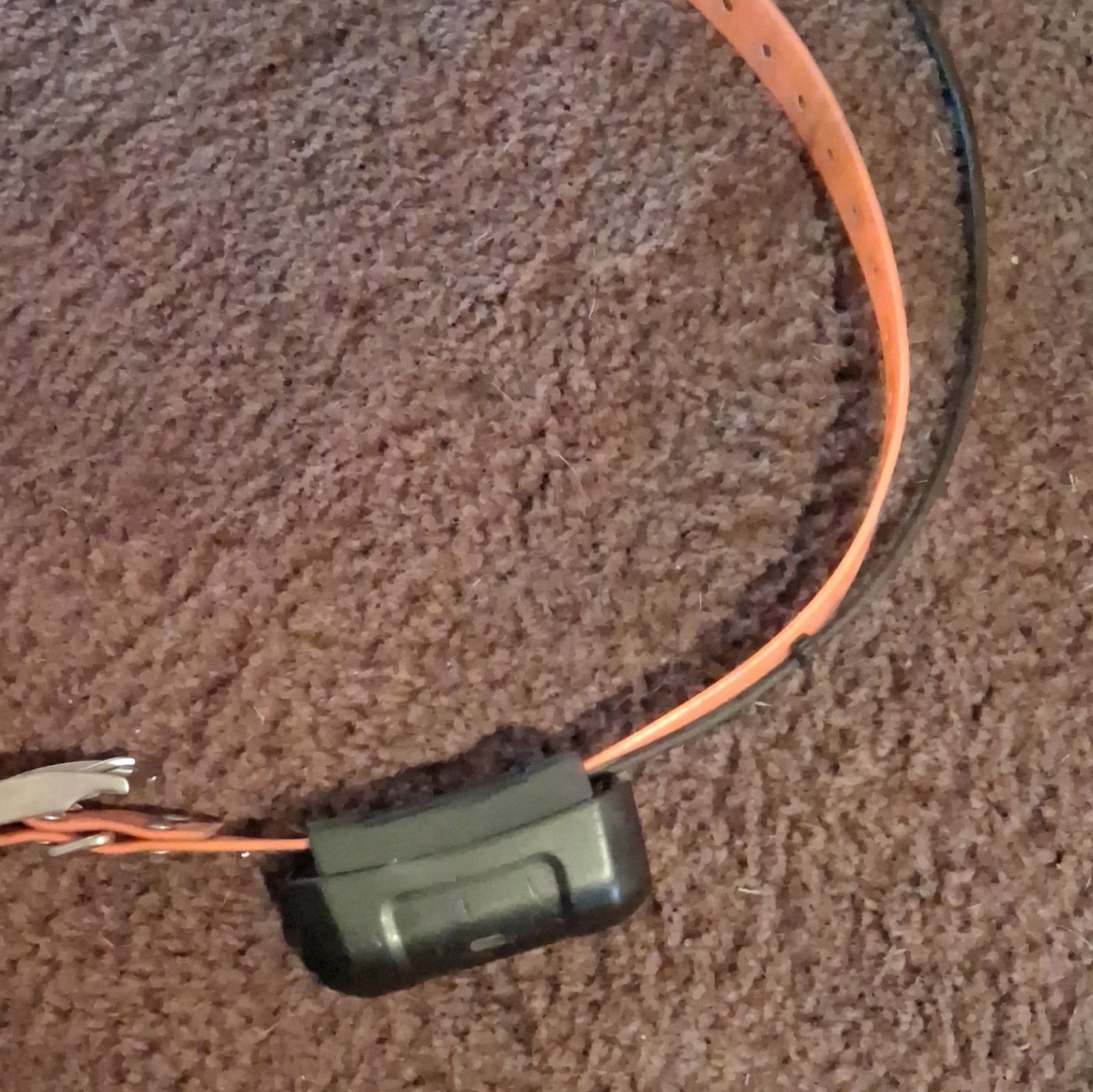 Garmin Tracking Collar DC 40