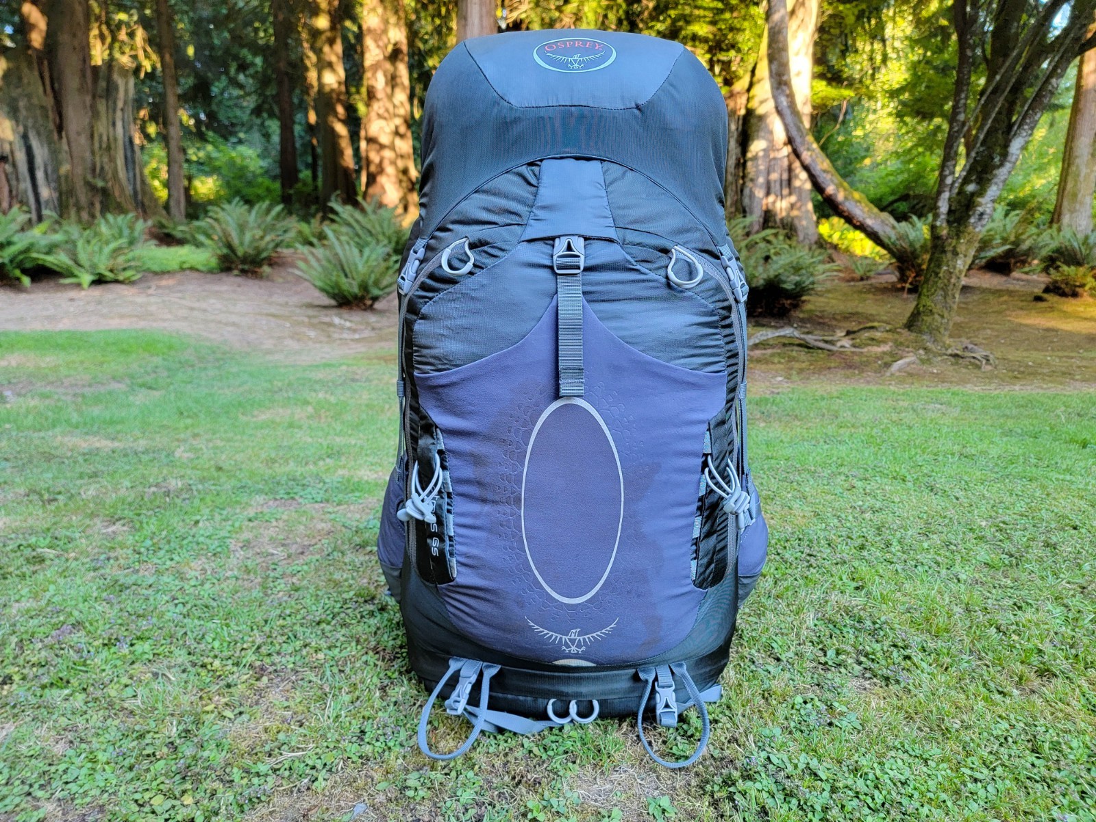 OSPREY Atmos 65 Internal Frame Green Gray Hiking 28" Backpack ~ Size Medium